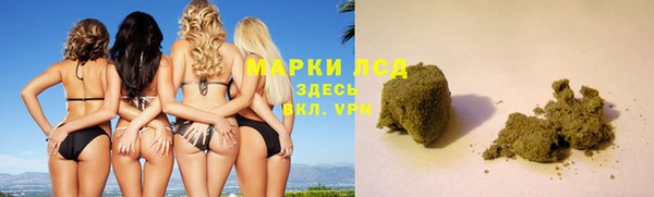 ПСИЛОЦИБИНОВЫЕ ГРИБЫ Богданович
