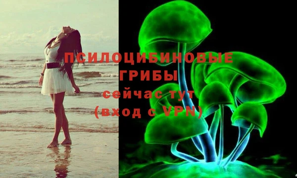 каннабис Бородино