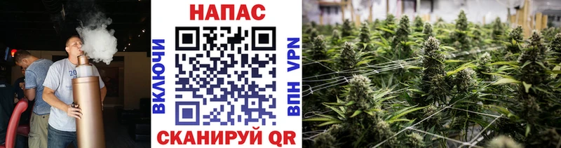 Купить где  Каменск-Шахтинский  Каннабис планчик 